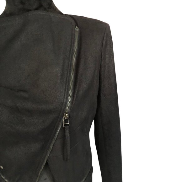 Pookie and Sebastian - Picture 5 of 10